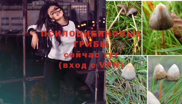 мескалин Санкт-Петербург