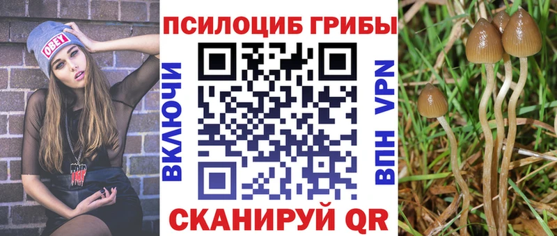 закладка  Самара  Псилоцибиновые грибы Magic Shrooms 