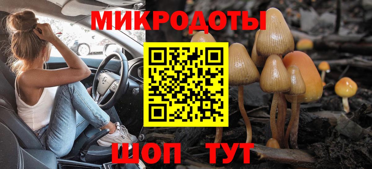 Галлюциногенные грибы прущие грибы Россия