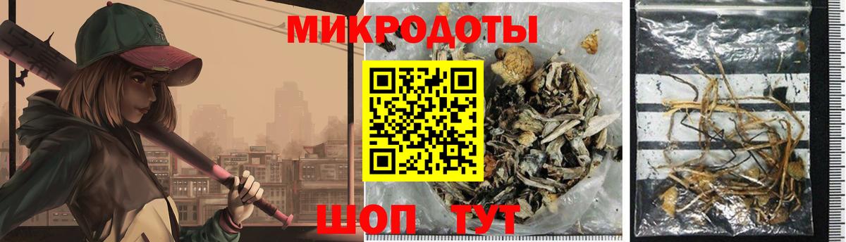 Псилоцибиновые грибы Magic Shrooms  купить наркотики цена  Россия  Вход с VPN 